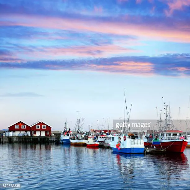 Bodø Harbor