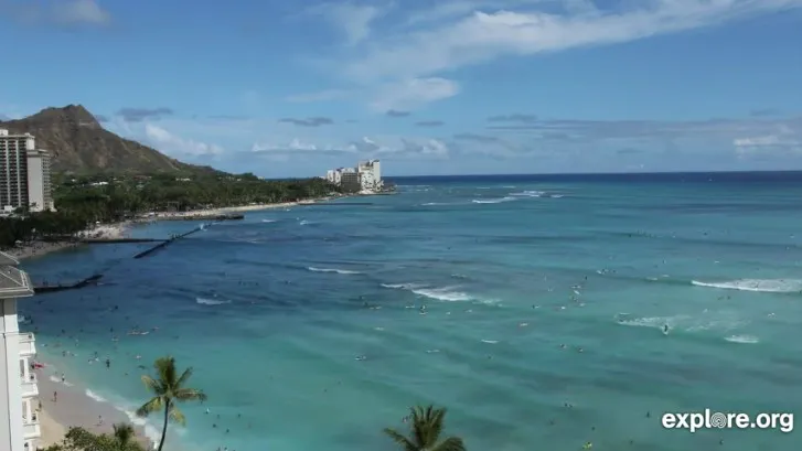 Waikiki Beach Meditation